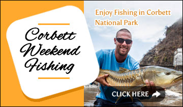 Corbett Weekend Fishing