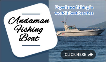 Andaman Fishing Boat