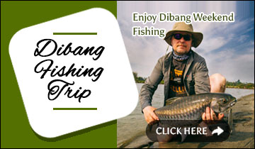 Dibang Weekend Fishing