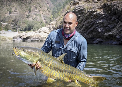 Golden Mahseer Ramganga